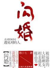 闪婚