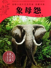 象母怨
