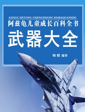 武器大全