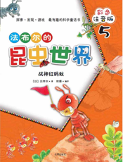 战神红蚂蚁