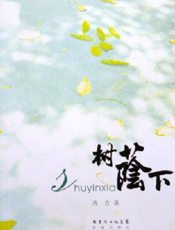 树荫下