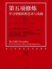 第五项修炼：学习型组织的艺术与实践