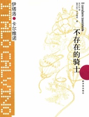 不存在的骑士