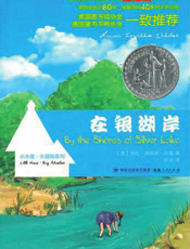在银湖岸