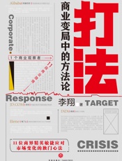 打法：商业变局中的方法论