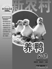 养鸭必读
