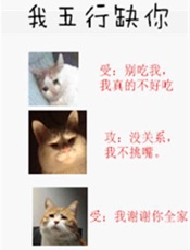 我五行缺你