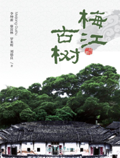 梅江古树