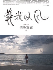 葬我以风