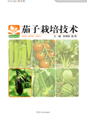 茄子栽培技术