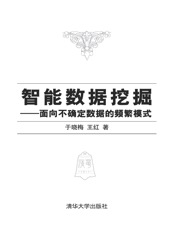 智能数据挖掘