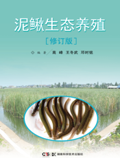 泥鳅生态养殖
