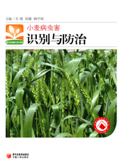 小麦病虫害识别与防治