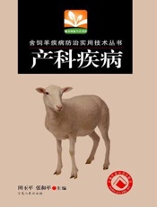 产科疾病