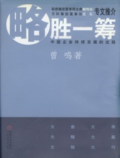 略胜一筹_中国企业持续发展的出路