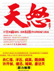 天怒